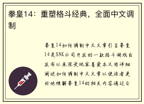 拳皇14：重塑格斗经典，全面中文调制