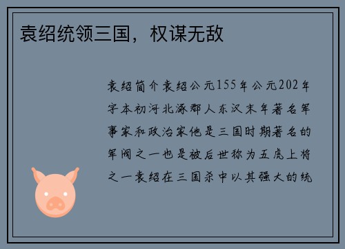 袁绍统领三国，权谋无敌